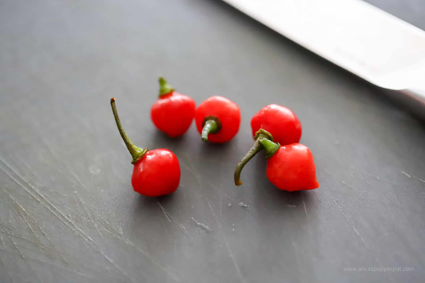 Whole Guyanese wiri wiri peppers with stems on cutting board